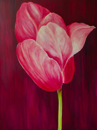 flowers, oil on canvas, tulip